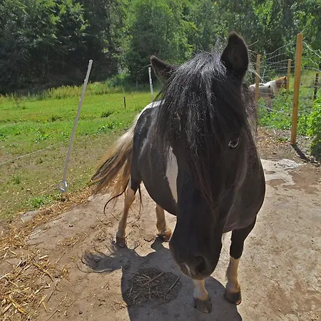 Appartement Mit Eigener Terrasse In Hueddingen *