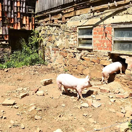 Mit Eigener Terrasse In Hueddingen 아파트 바트빌둔젠