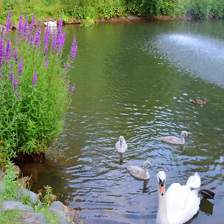 Appartement Mit Eigener Terrasse In Hueddingen Bad Wildungen