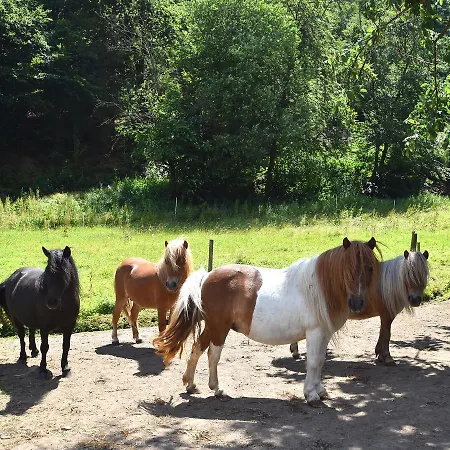Mit Eigener Terrasse In Hueddingen 바트빌둔젠
