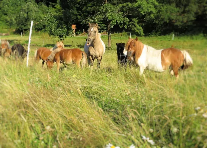 Apartament Mit Eigener Terrasse In Hueddingen