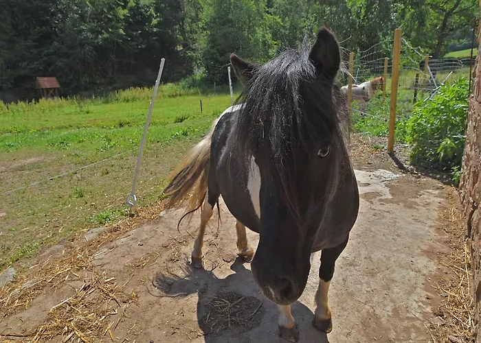 아파트 Mit Eigener Terrasse In Hueddingen *