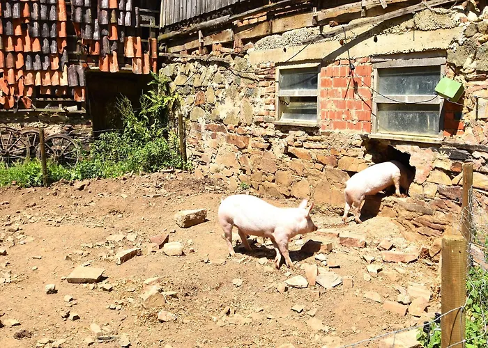 Mit Eigener Terrasse In Hueddingen 아파트 바트빌둔젠