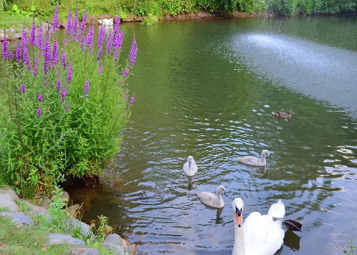 아파트 Mit Eigener Terrasse In Hueddingen 바트빌둔젠