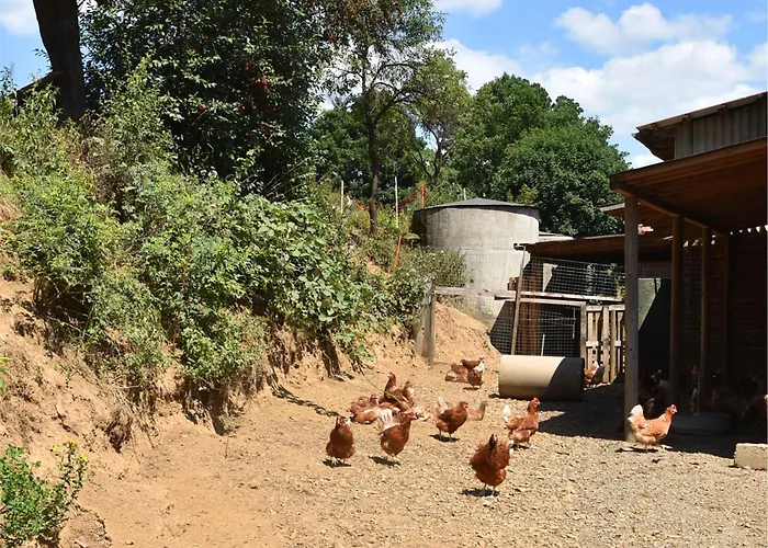 Apartament Mit Eigener Terrasse In Hueddingen *