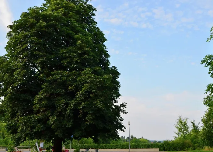 Mit Eigener Terrasse In Hueddingen Apartament