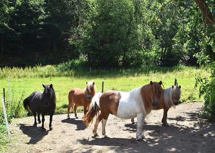 Mit Eigener Terrasse In Hueddingen Bad Wildungen